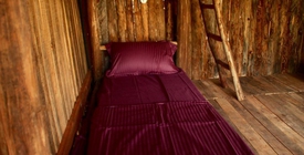 Nguyen Shack - Phong Nha Central Town