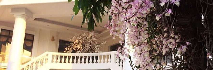 Hoang Son Hotel
